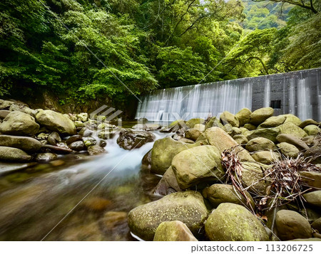 Small waterfall in the forest 113206725