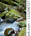 Small waterfall in the forest 113206727