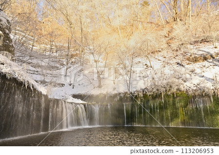 Shiraito Falls in the cold winter (Karuizawa Town) Shiraito Falls in the cold winter (Karuizawa Town) 113206953