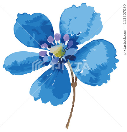 手繪藍花插畫 113207080