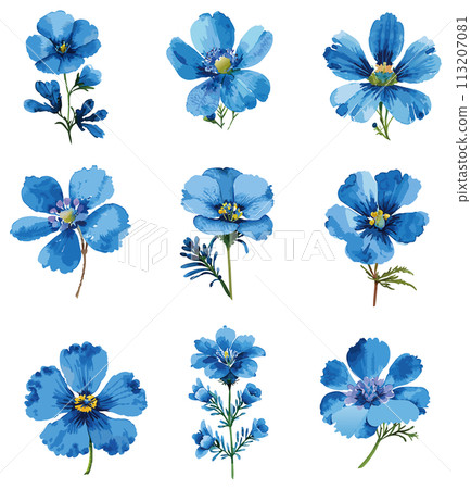 手繪藍花插畫集 手繪藍花插畫集 113207081