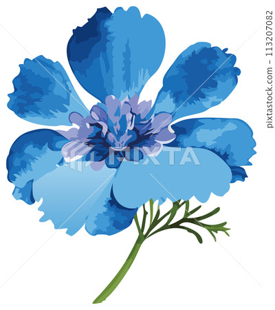 手繪藍花插畫 113207082