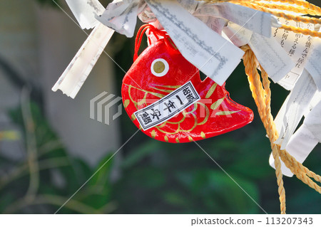Shimoda Hachiman Shrine (Shimoda City, Shizuoka Prefecture) Shimoda Hachiman Shrine (Shimoda City, Shizuoka Prefecture) 113207343