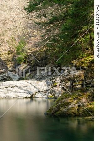 山谷水面和新鮮的綠色植物 113207643