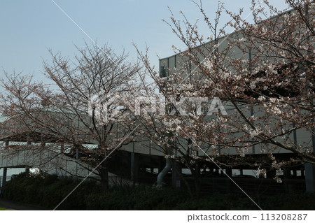 I walked along the Tama River I walked along the Tama River 113208287