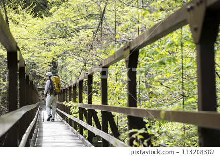 A woman enjoying a hike in fresh greenery 113208382