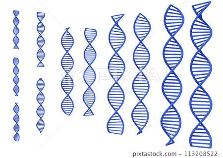 Image of double helix of DNA Image of double helix of DNA 113208522