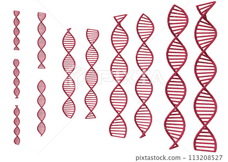Image of double helix of DNA 113208527