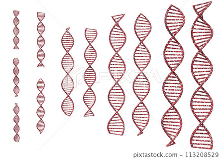 Image of double helix of DNA Image of double helix of DNA 113208529