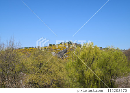 從首爾森林公園看到的高峰山（春天）[首爾城東區] 113208570