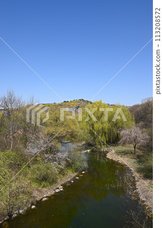 首爾森林公園與高峰山（春季）[首爾城東區] 113208572
