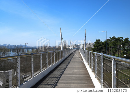 首爾森林公園展望橋[首爾市城東區] 113208573