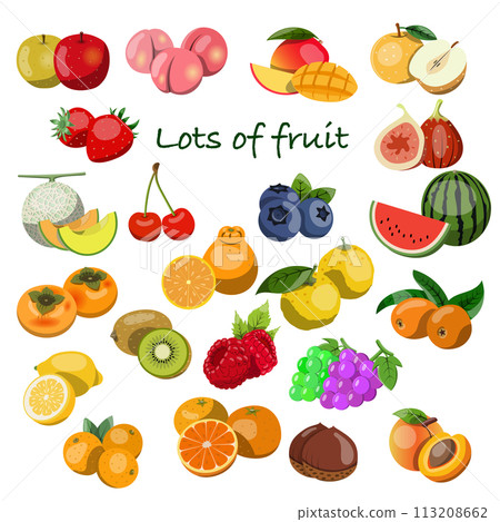 Illustration material of set of fruits 113208662