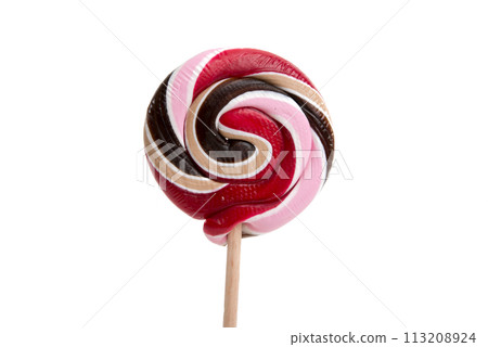 sweet candy lollipop isolated on the white sweet candy lollipop isolated on the white 113208924