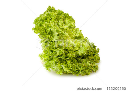 Fresh lettuce salad leaves organic food isolated on the white background 113209260