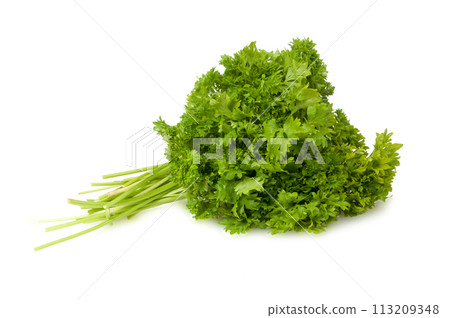 Fresh green parsley for salad isolated on the white Fresh green parsley for salad isolated on the white 113209348