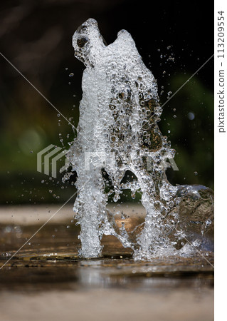 The momentary shape of water gushing out of a fountain 113209554