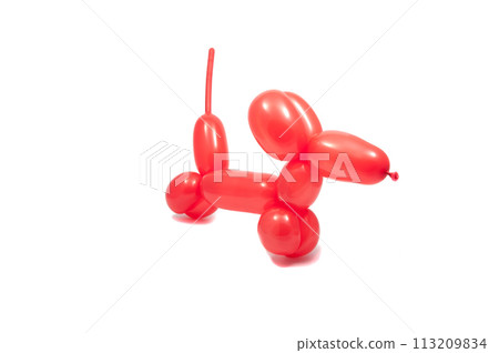 balloon red dog isolated on the white 113209834