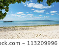 Beach sand beach 113209996