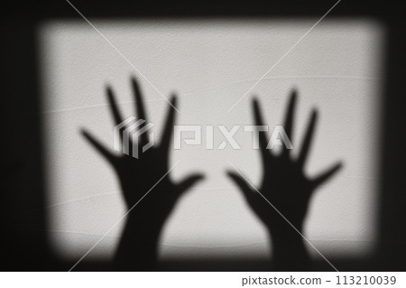 Shadow play using a white wall 113210039