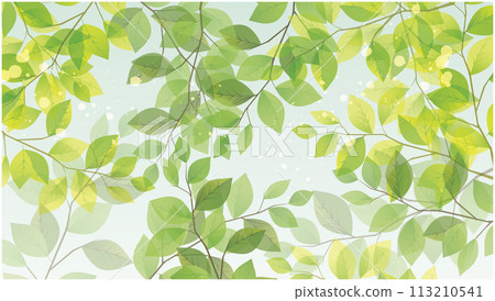夏日涼爽日式清新綠色背景 113210541