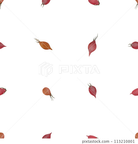 Rose-hip watercolor seamless pattern isolated on white Rose-hip watercolor seamless pattern isolated on white 113210801
