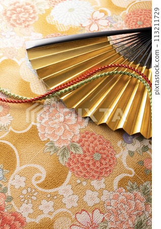 Japanese style image of golden fan and braid 113211729