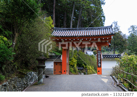 2024 Spring, Mimuroto Temple Sanmon, Uji, Kyoto, where cherry blossoms have begun to bloom ① 113212077