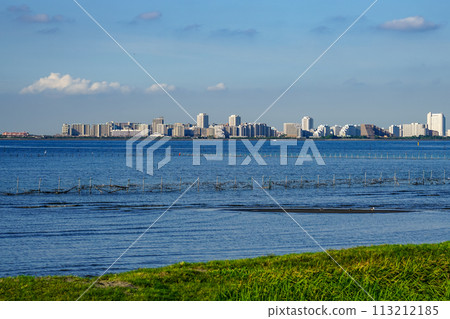 The tidal flats on a clear morning at Funabashi Sanbanze Seaside Park (Funabashi City, Chiba Prefecture) The tidal flats on a clear morning at Funabashi Sanbanze Seaside Park (Funabashi City, Chiba Prefecture) 113212185