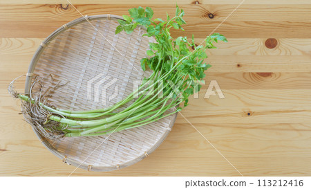 Parsley with roots Parsley with roots 113212416