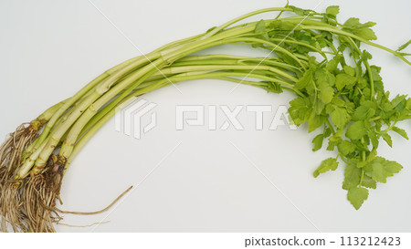 Parsley with roots 113212423