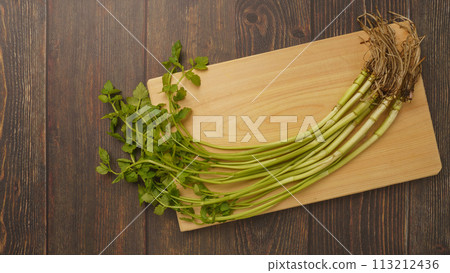 Parsley with roots Parsley with roots 113212436