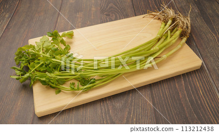 Parsley with roots 113212438
