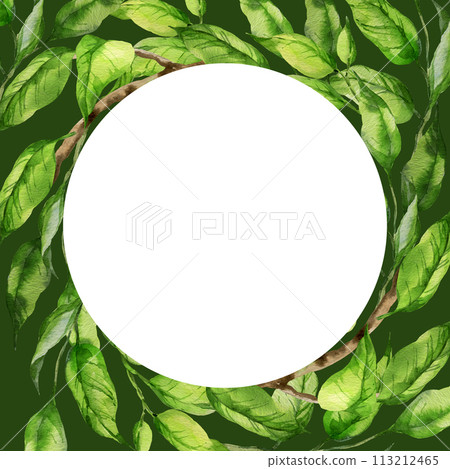watercolor round white frame with illustration of green leaves on a branch, branch of peach or apricot, nectarine, sketch of nature element isolated on green background 113212465