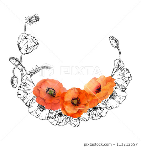 Hand drawn watercolor botanical illustration flowers leaves. Red poppy papaver, stems buds seedpods. Wreath frame isolated on white background. Design wedding, love cards, remembrance day stationery Hand drawn watercolor botanical illustration flowers leaves. Red poppy papaver, stems buds seedpods. Wreath frame isolated on white background. Design wedding, love cards, remembrance day stationery 113212557