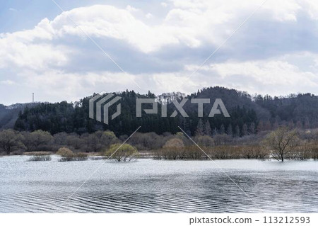 宮城縣川崎町早春從國立陸奧湖畔公園看到的釜房水壩和水下森林 宮城縣川崎町早春從國立陸奧湖畔公園看到的釜房水壩和水下森林 113212593