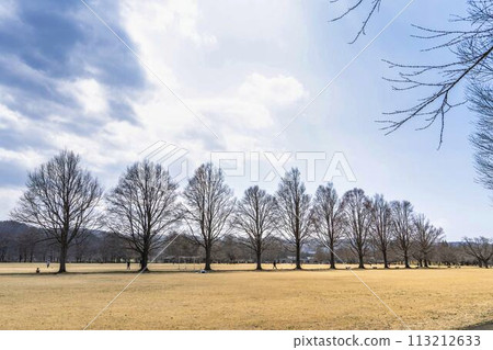 Park scenery, early spring plaza, Kawasaki Town, Miyagi Prefecture 113212633