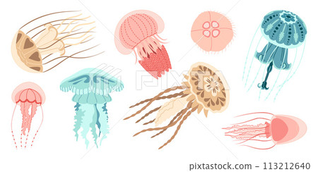 Jellyfish trendy flat style vector set. Jellyfish trendy flat style vector set. 113212640