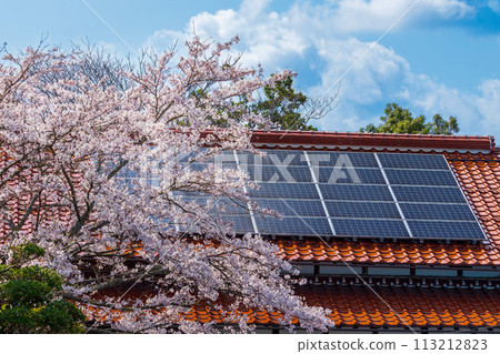Solar panels on a red roof against the cherry blossoms and blue sky Solar panels on a red roof against the cherry blossoms and blue sky 113212823