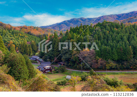 山村 113212836