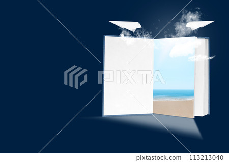 Open book with a flying paper plane 113213040