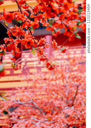 artificial cherry blossoms in full bloom. artificial cherry blossoms in full bloom. 113213404