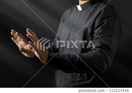 Portrait of a pastor delivering a sermon 113213556