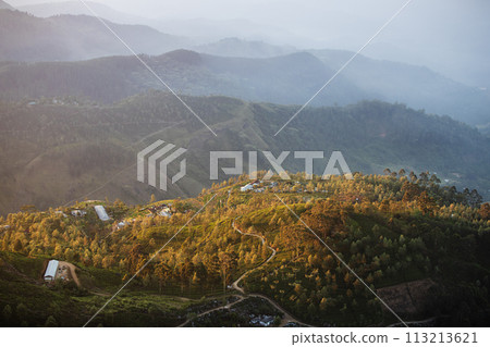 Hills with tea plantations in Sri Lanka. 113213621