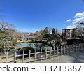 Japanese scenery (shrines, gardens, nature, plants, blue sky) 113213887