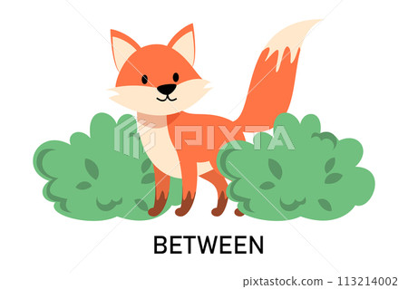 Fox standing between the bushes 113214002