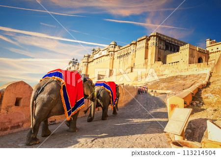 Indian elephant riders in Amber Fort, famous tourist attraction, Jaipur, India 113214504