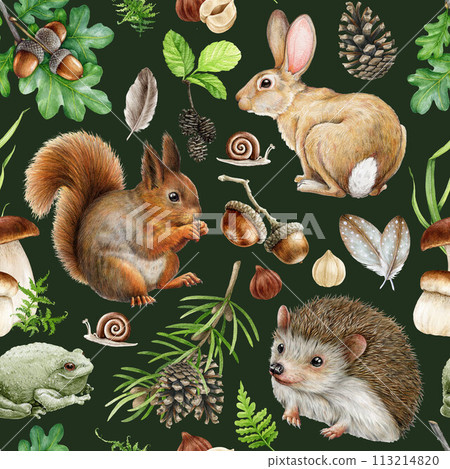 Forest animals and natural elements seamless pattern. Watercolor illustration. Hand drawn squirrel, hedgehog, bunny, mushroom, acorn elements. Vintage style wild forest animals seamless pattern 113214820