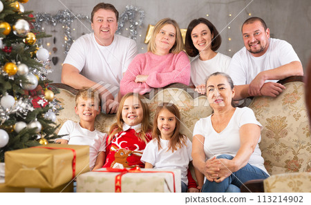 Family with children on sofa in christmas interior Family with children on sofa in christmas interior 113214902