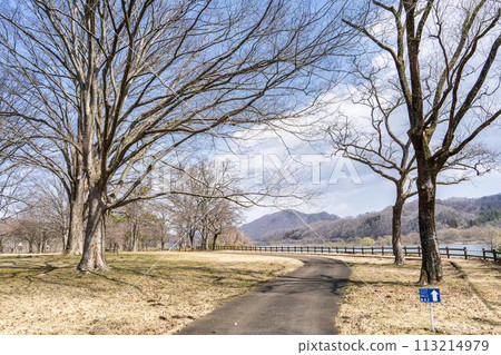 National Michinoku Lakeside Park walking course in early spring Kawasaki Town, Miyagi Prefecture National Michinoku Lakeside Park walking course in early spring Kawasaki Town, Miyagi Prefecture 113214979